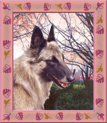 Tasha 4 ans 1